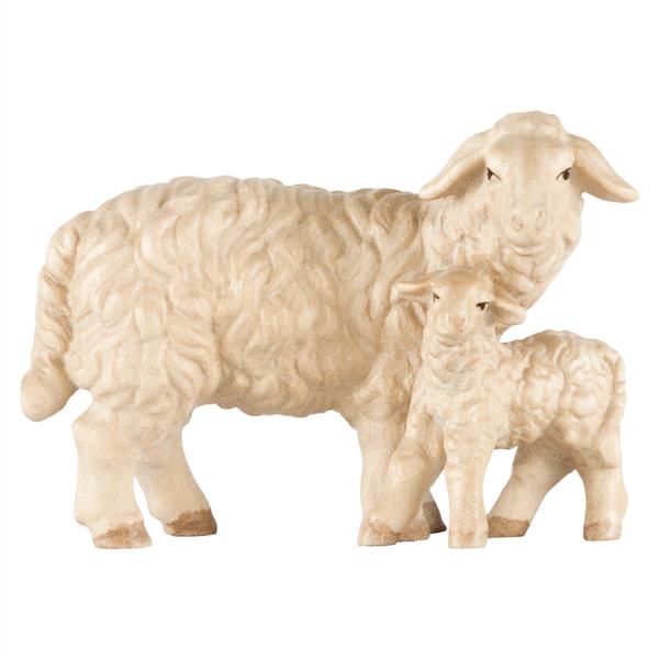 Schaf stehend mit Lamm