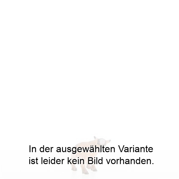 Nach hinten schauendes Kitz Nach hinten schauendes Kitz