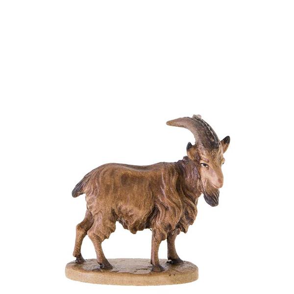 Ziegenbock Ziegenbock