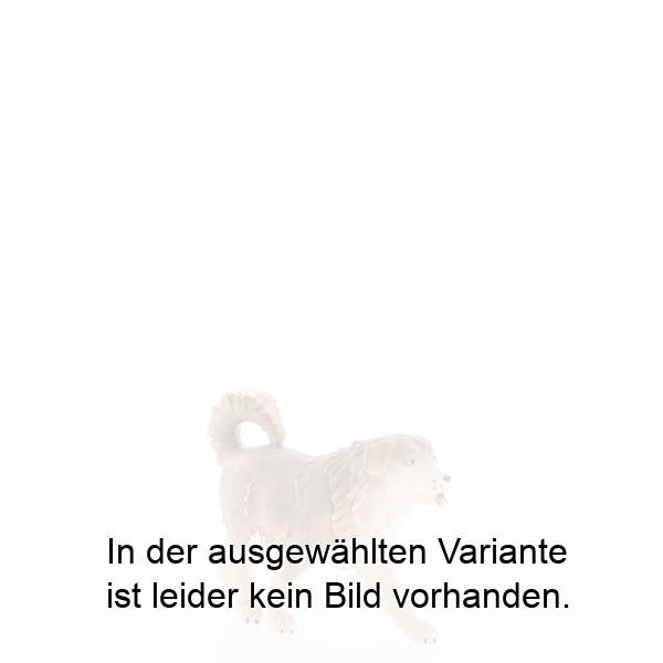 Schäferhund