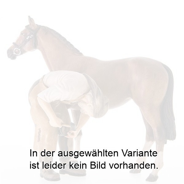 Schmied mit Pferd Schmied mit Pferd