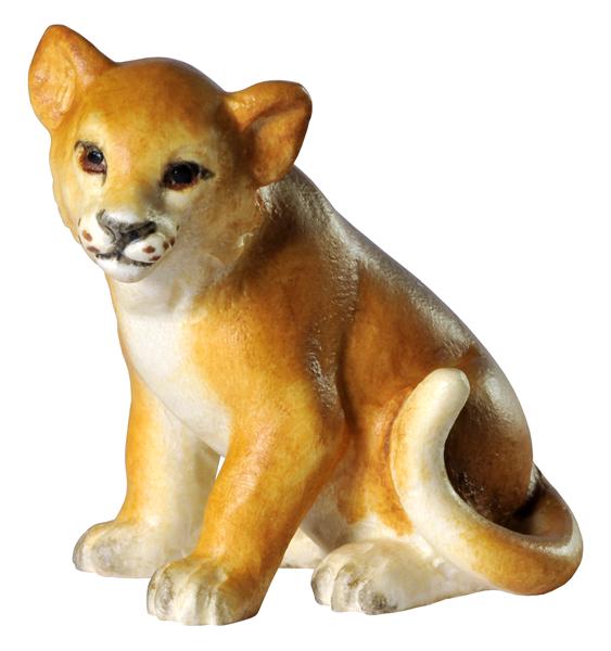 Löwenjunge sitzend Löwenjunge sitzend