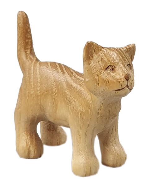 Katze
