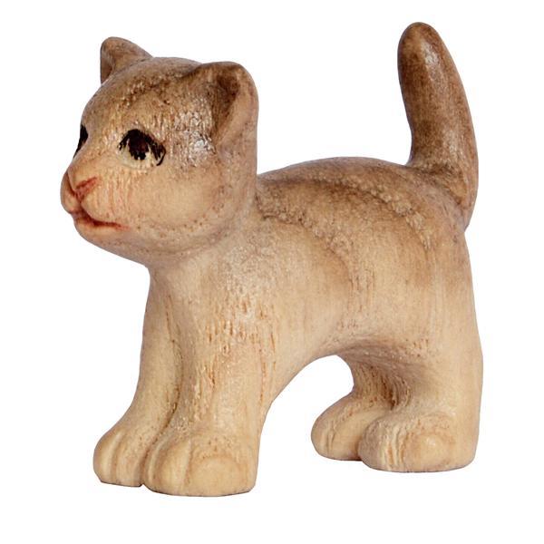 Katze