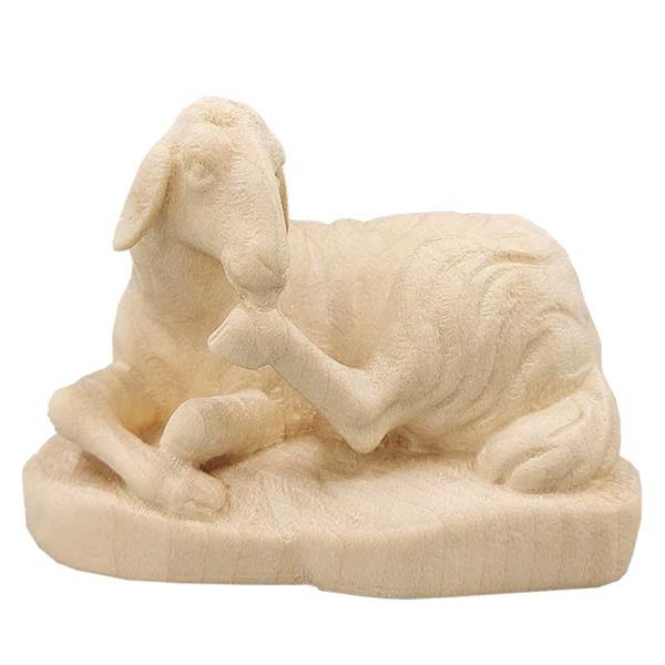 Schaf liegend Schaf liegend