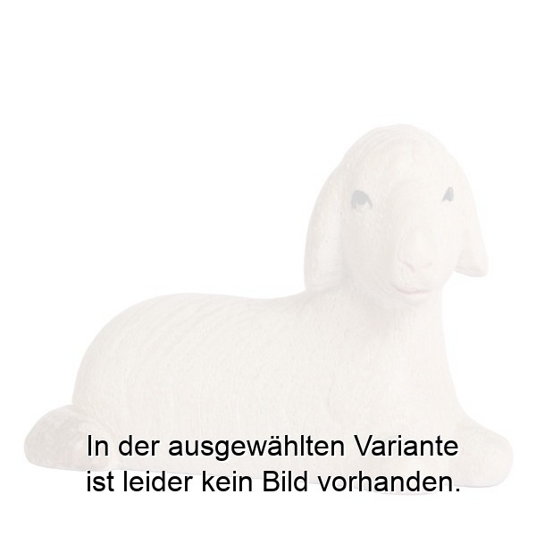 Schaf liegend Schaf liegend