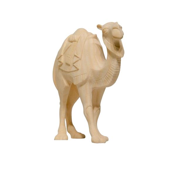 Kamel