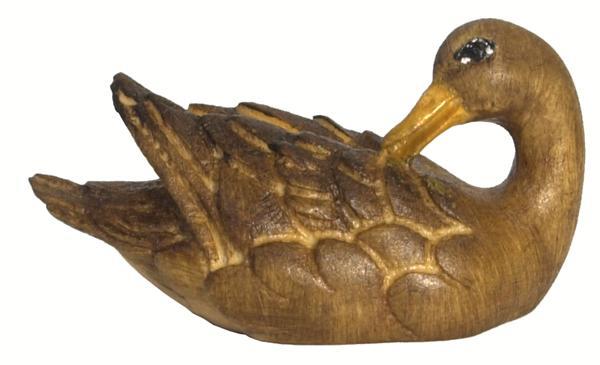 Ente schwimmend - Kopf hinten braun