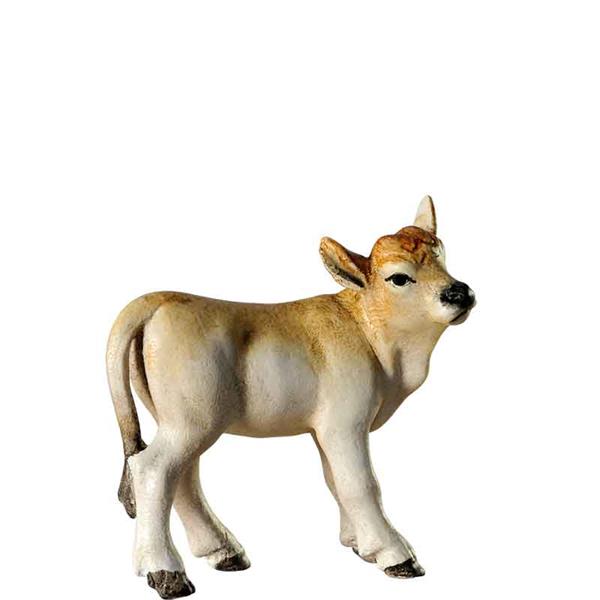 Kalb stehend grau Kalb stehend grau