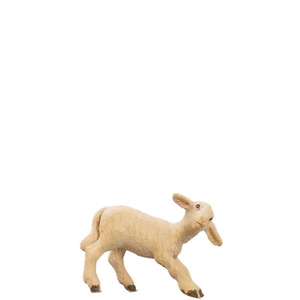 Lamm stehend Lamm stehend