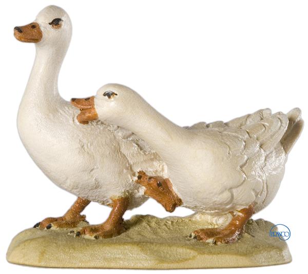 Gänsegruppe