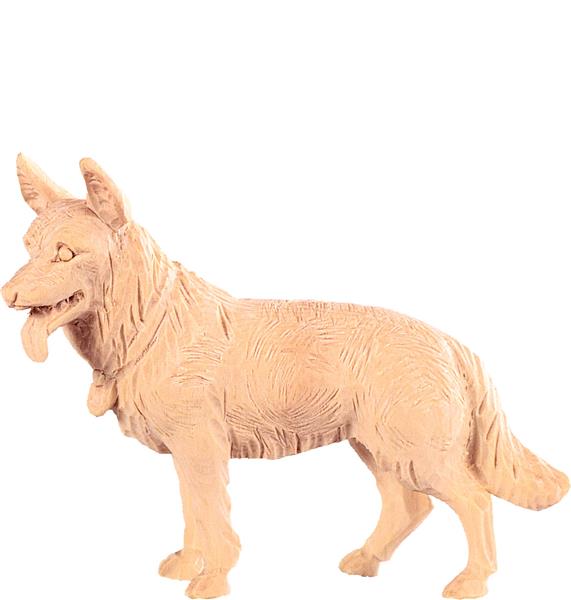 Schäferhund