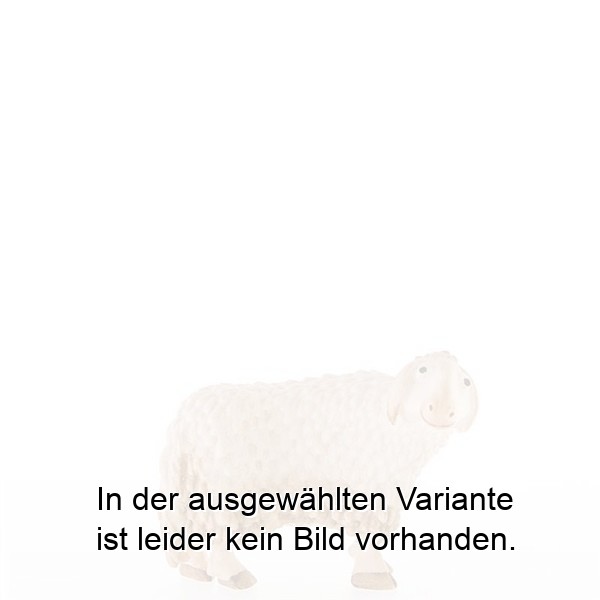 Schaf seitwaertsschauend Schaf seitwaertsschauend