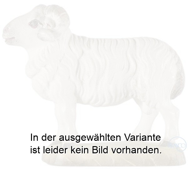 Widder