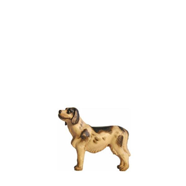 Hund Hund