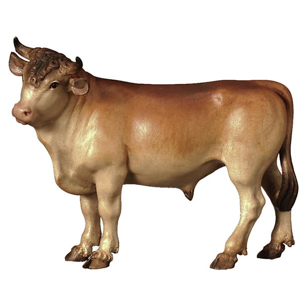 Ochs stehend Ochs stehend