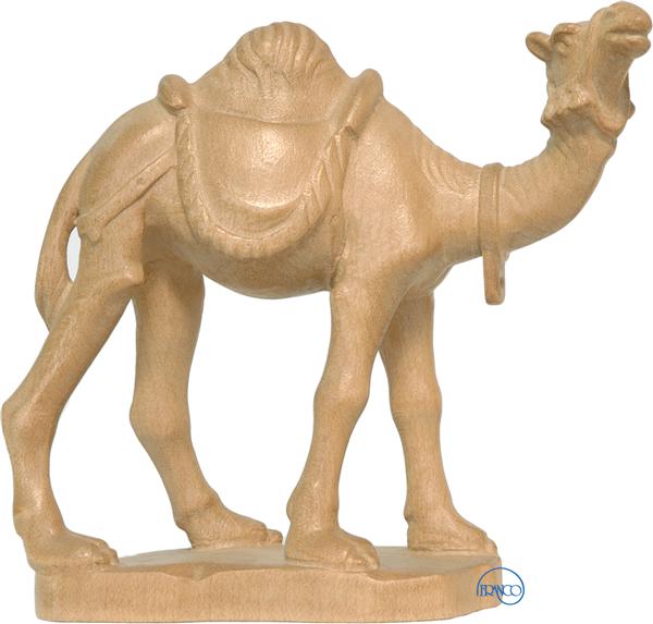 Kamel