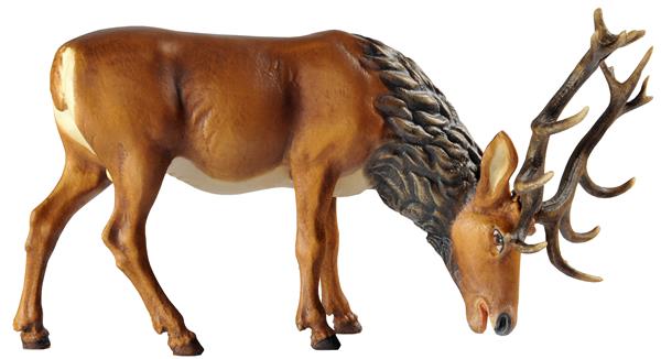 Hirsch grasend Hirsch grasend