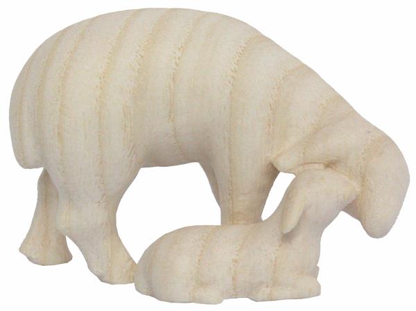 Schaf mit Lamm Schaf mit Lamm