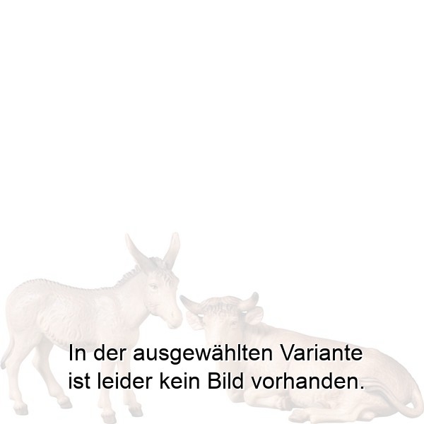Ochs und Esel 2t. 'B'