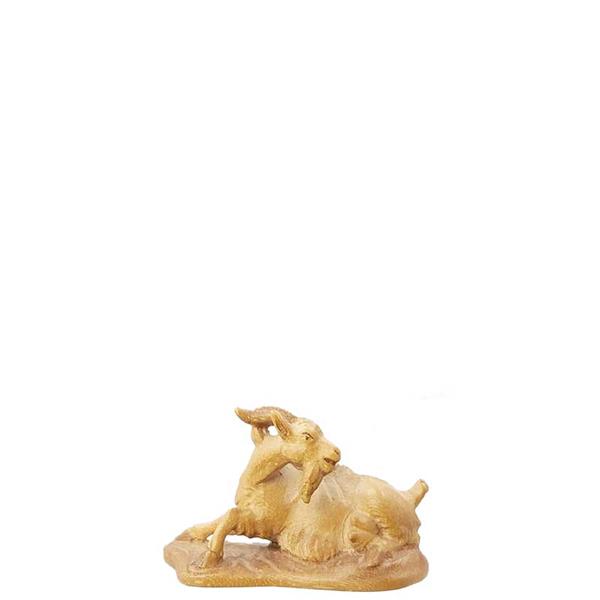 Liegende Ziege Liegende Ziege