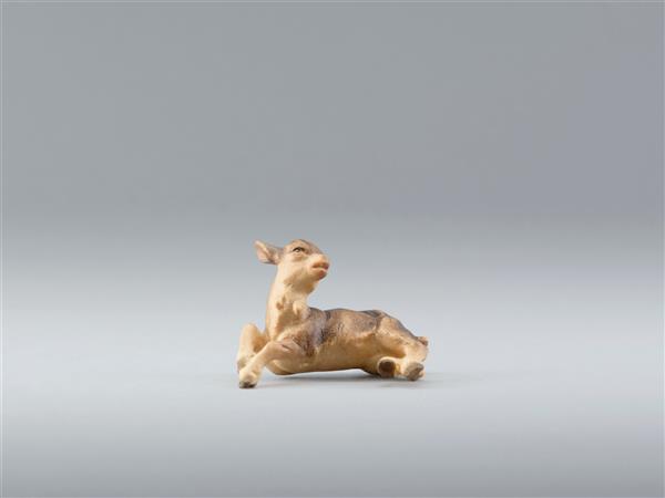 Kitz für Arm Kitz für Arm