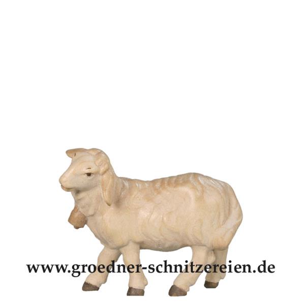 Schaf mit Glocke