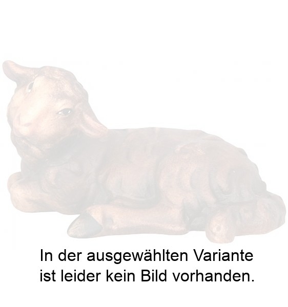 Schwarzes Schaf liegend Schwarzes Schaf liegend