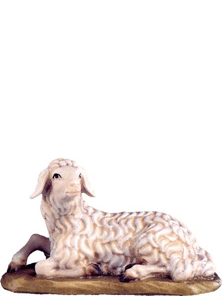 Schaf liegend Schaf liegend