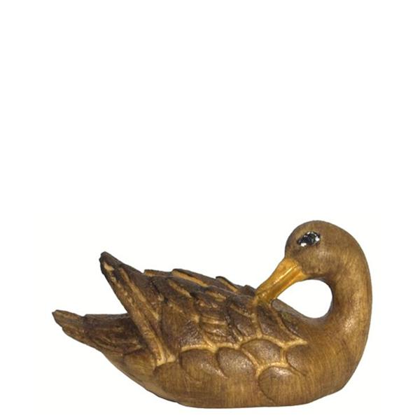 Ente schwimmend - Kopf hinten braun