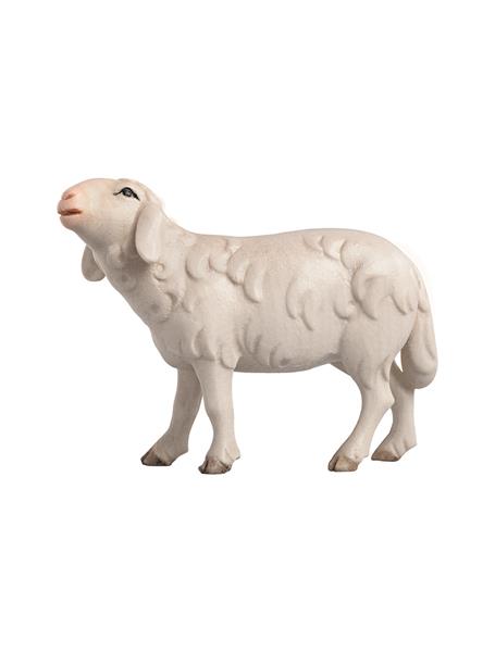 LI Schaf laufend LI Schaf laufend