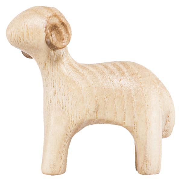 Lamm neugierig stehend Lamm neugierig stehend