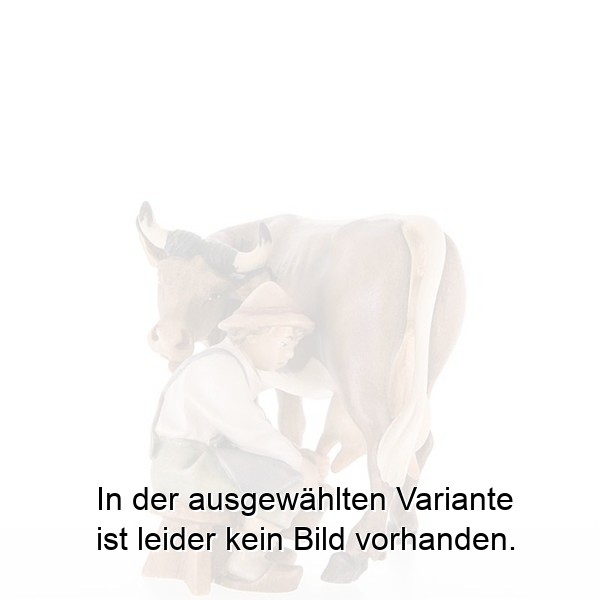 Kuh mit Melker Kuh mit Melker