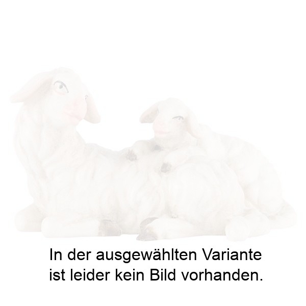 Schaf liegend mit Lamm