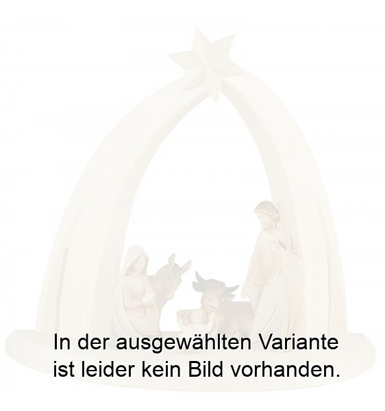 Bogenstall mit Morgenstern Krippe 5 Figuren Bogenstall mit Morgenstern Krippe 5 Figuren