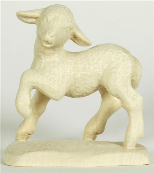 Lamm - Pfote hoch