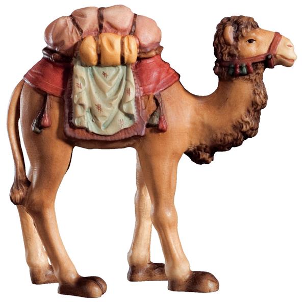 Kamel stehend Kamel stehend