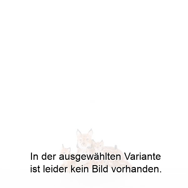 Luchs mit Welpen Luchs mit Welpen