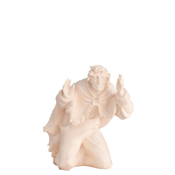 Staunender Hirte Staunender Hirte