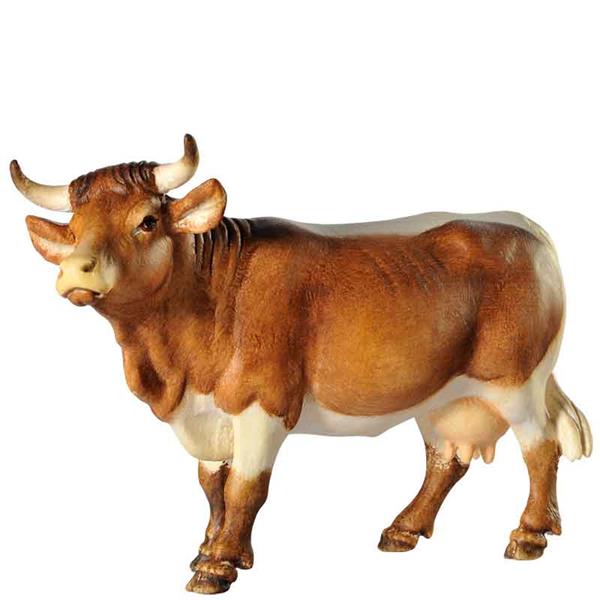 Kuh - Kopf oben dunkelbraun