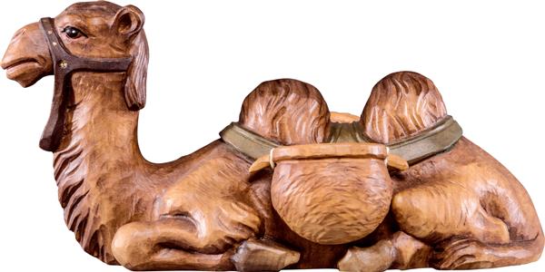 Kamel liegend Kamel liegend