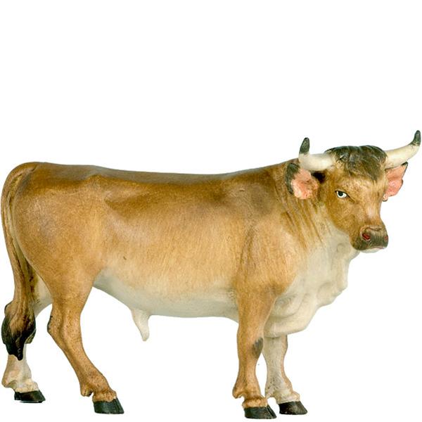 Ochs stehend Ochs stehend