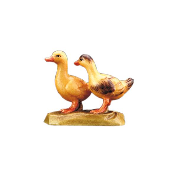 Junges Entenpaar Junges Entenpaar