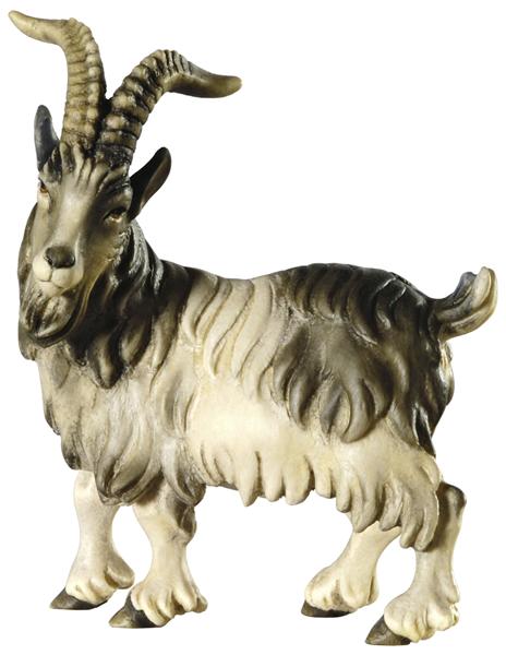 Ziegenbock