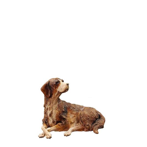 Hund liegend