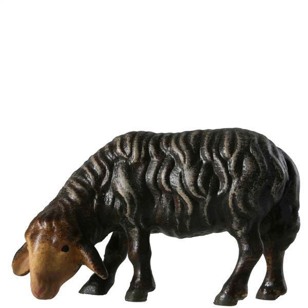 Schaf äsend schwarz Schaf äsend schwarz