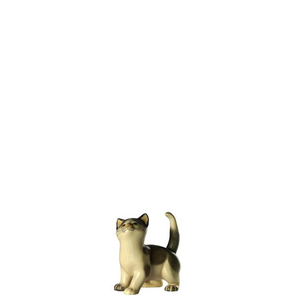 Katze stehend schwarz-weiß