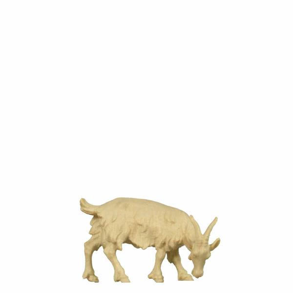 Ziege grasend Ziege grasend