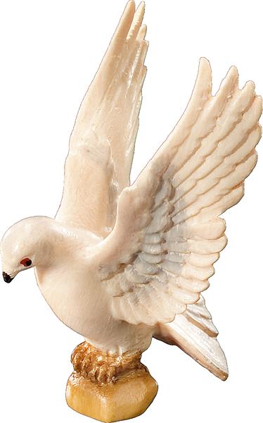 Taube fliegend