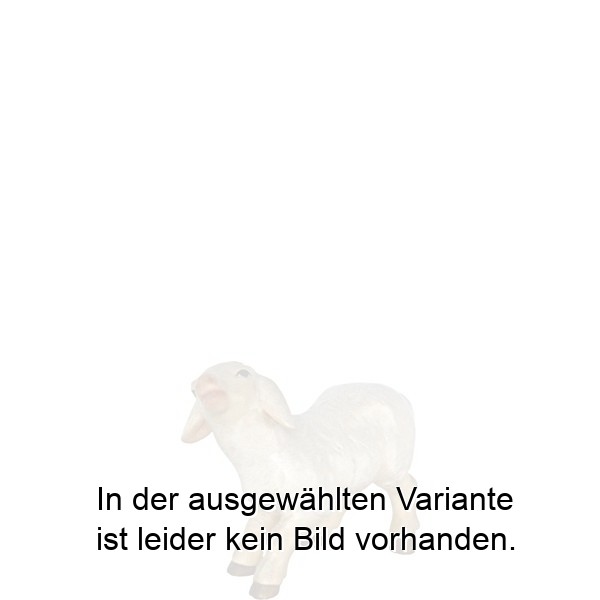 Lämmchen stehend Lämmchen stehend